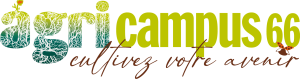Moodle agricampus 66