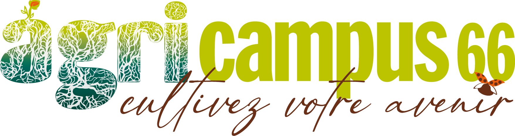 Moodle agricampus 66